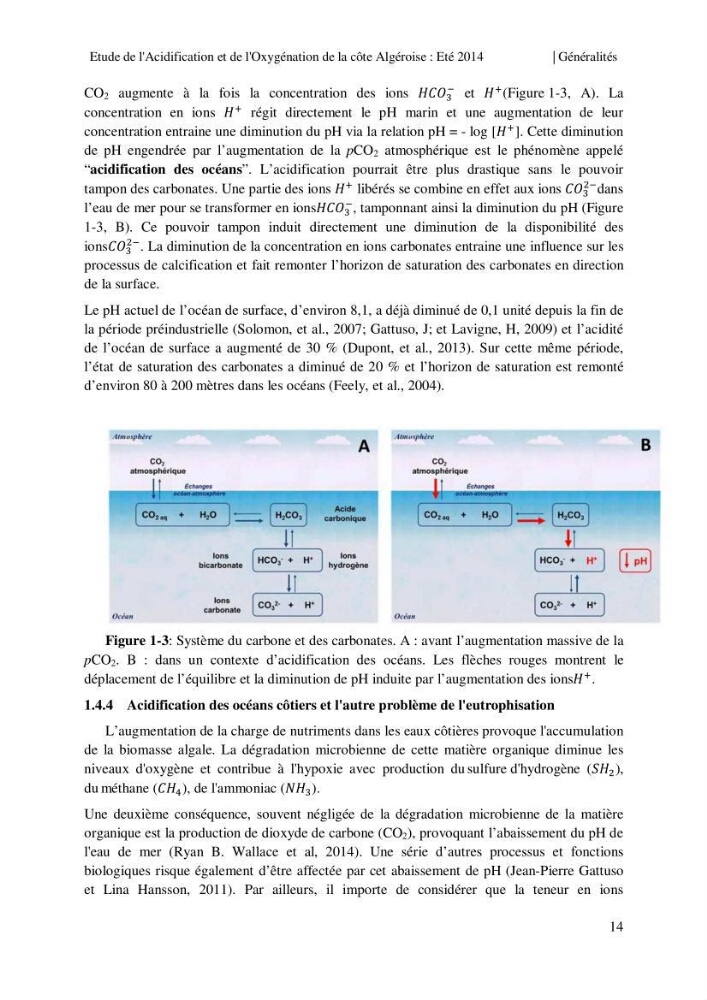 Etude de l\'acidification et de l\'oxygénation de la côte Algerienne