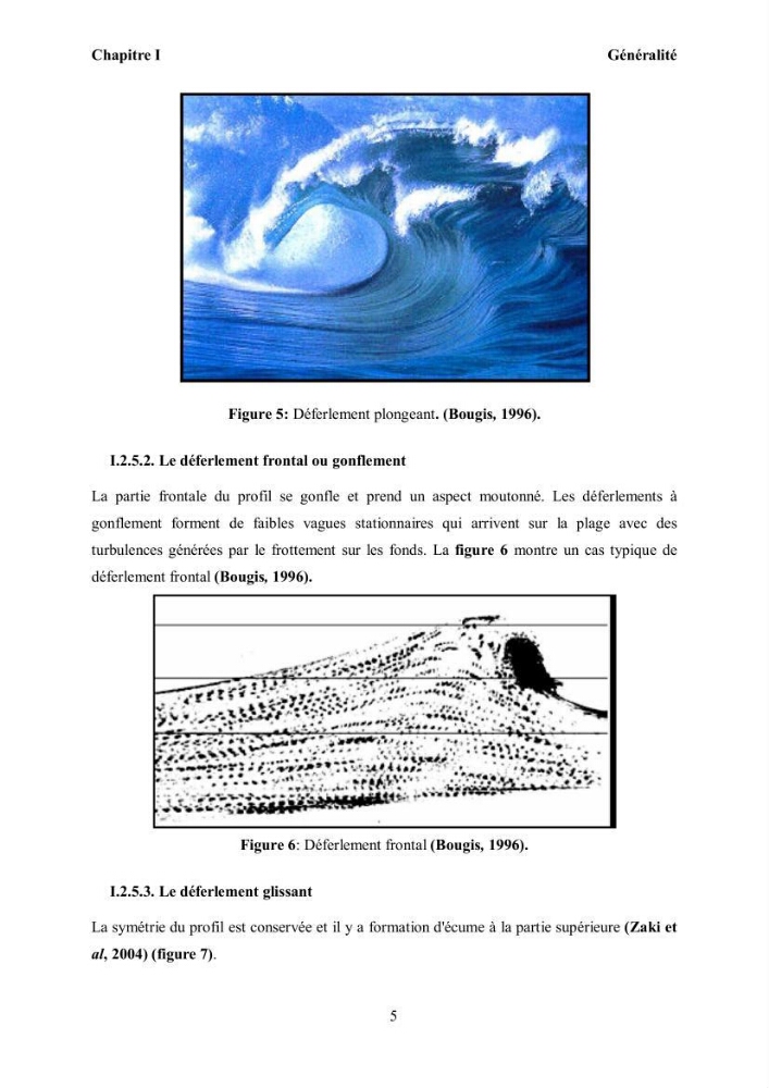Etat de l\'art sur les différentes méthodes d\'étude du Run-up et Run-Down des vagues à la côte