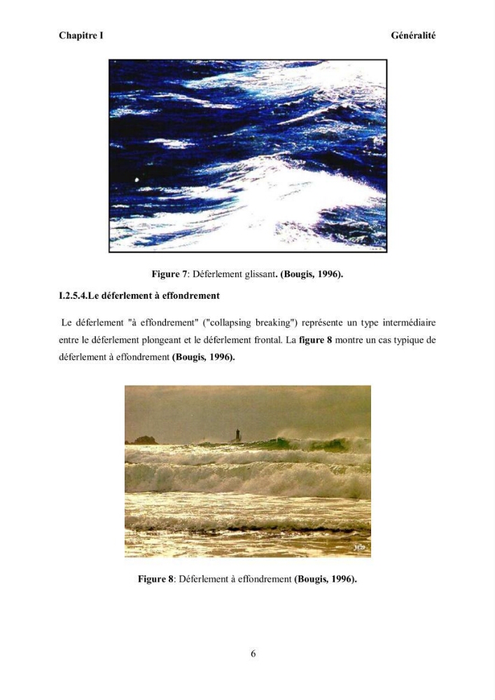 Etat de l\'art sur les différentes méthodes d\'étude du Run-up et Run-Down des vagues à la côte