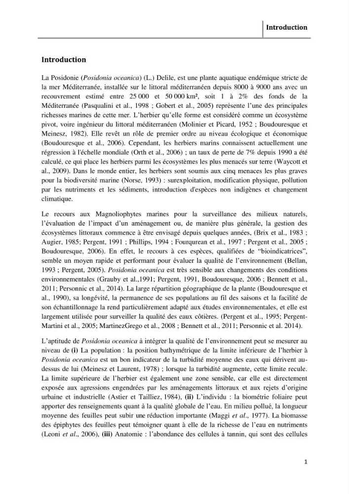 Analyse comparée des paramètres de vitalité de l\'herbier à Posidonia oceanica (L) Delile de la côte algérienne