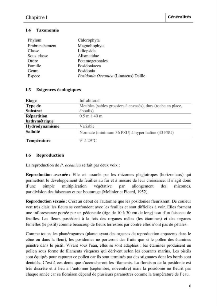 Analyse comparée des paramètres de vitalité de l\'herbier à Posidonia oceanica (L) Delile de la côte algérienne