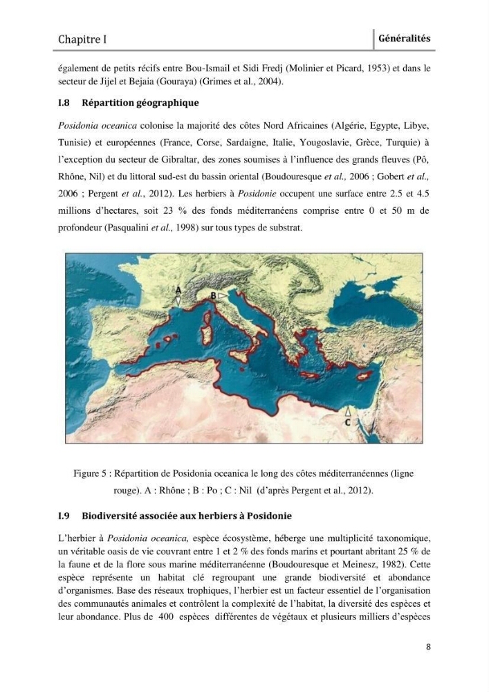 Analyse comparée des paramètres de vitalité de l\'herbier à Posidonia oceanica (L) Delile de la côte algérienne
