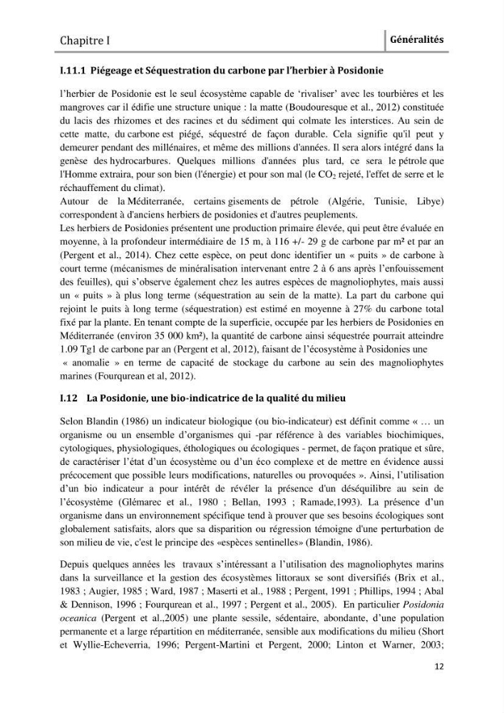 Analyse comparée des paramètres de vitalité de l\'herbier à Posidonia oceanica (L) Delile de la côte algérienne