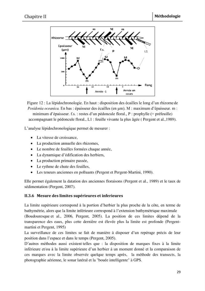 Analyse comparée des paramètres de vitalité de l\'herbier à Posidonia oceanica (L) Delile de la côte algérienne