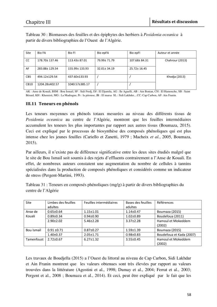 Analyse comparée des paramètres de vitalité de l\'herbier à Posidonia oceanica (L) Delile de la côte algérienne