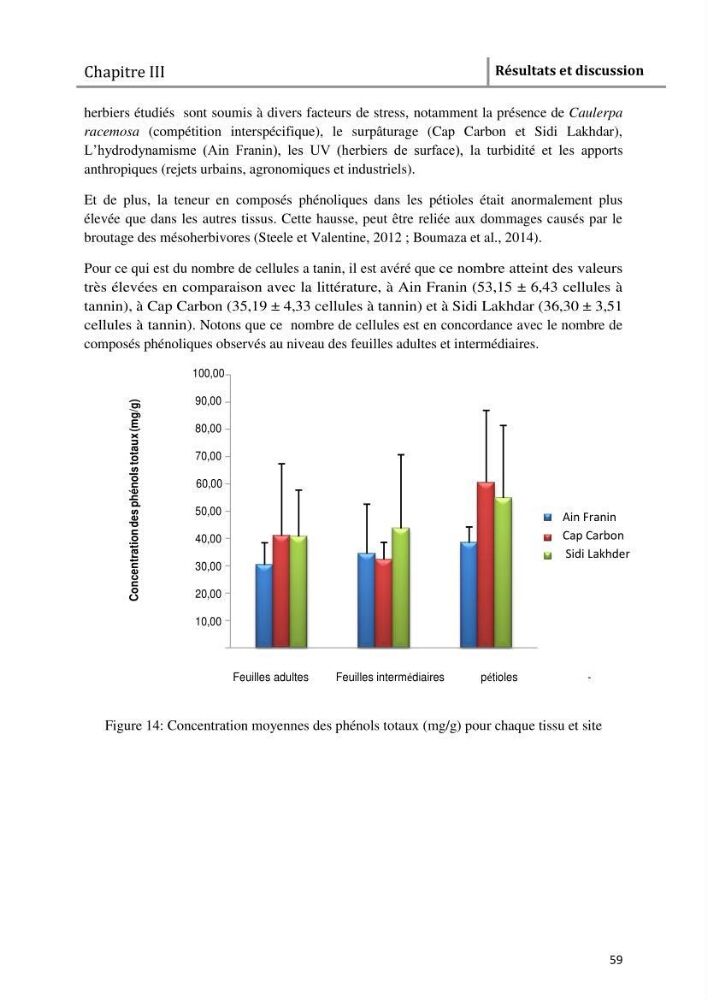 Analyse comparée des paramètres de vitalité de l\'herbier à Posidonia oceanica (L) Delile de la côte algérienne