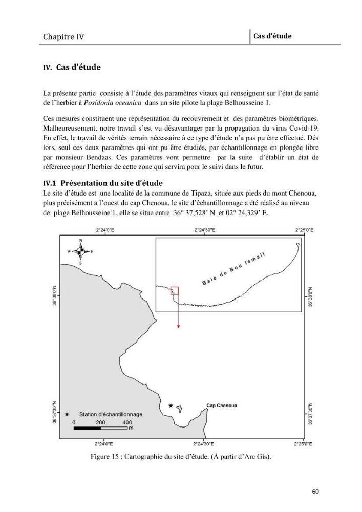 Analyse comparée des paramètres de vitalité de l\'herbier à Posidonia oceanica (L) Delile de la côte algérienne