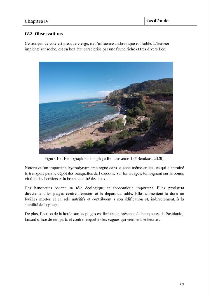Analyse comparée des paramètres de vitalité de l\'herbier à Posidonia oceanica (L) Delile de la côte algérienne