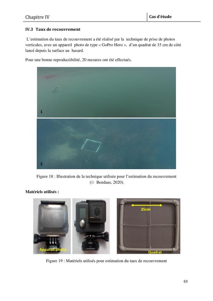 Analyse comparée des paramètres de vitalité de l\'herbier à Posidonia oceanica (L) Delile de la côte algérienne