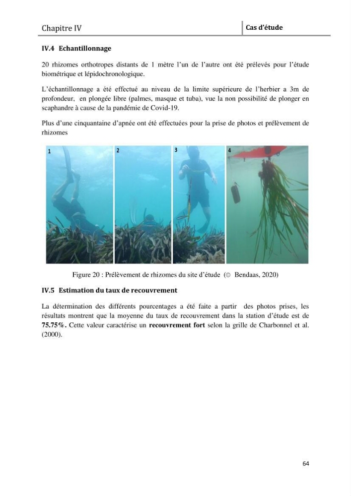 Analyse comparée des paramètres de vitalité de l\'herbier à Posidonia oceanica (L) Delile de la côte algérienne