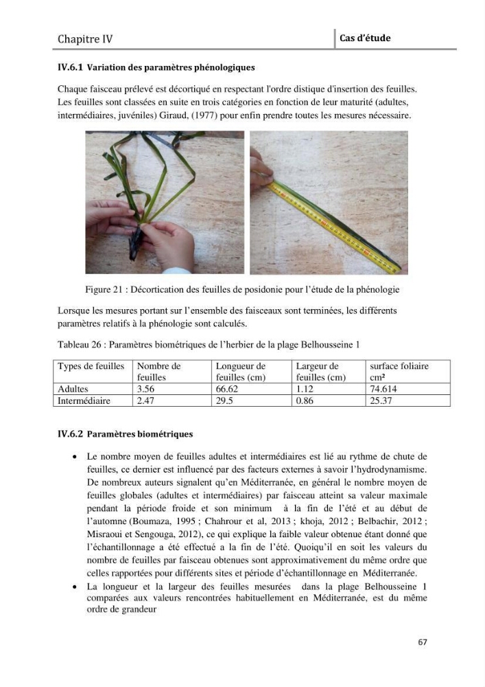 Analyse comparée des paramètres de vitalité de l\'herbier à Posidonia oceanica (L) Delile de la côte algérienne