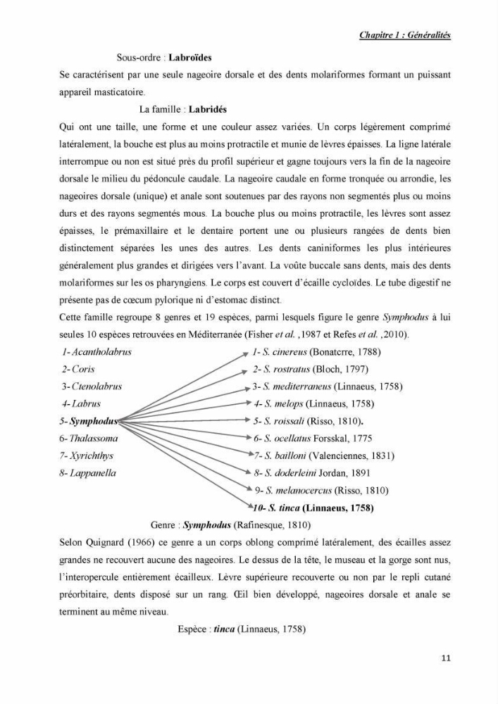 Contribution à l\'étude de la production et de la croissance de Symphodus tinca( Linnaeus, 1758).: dans la région centre Algérienne