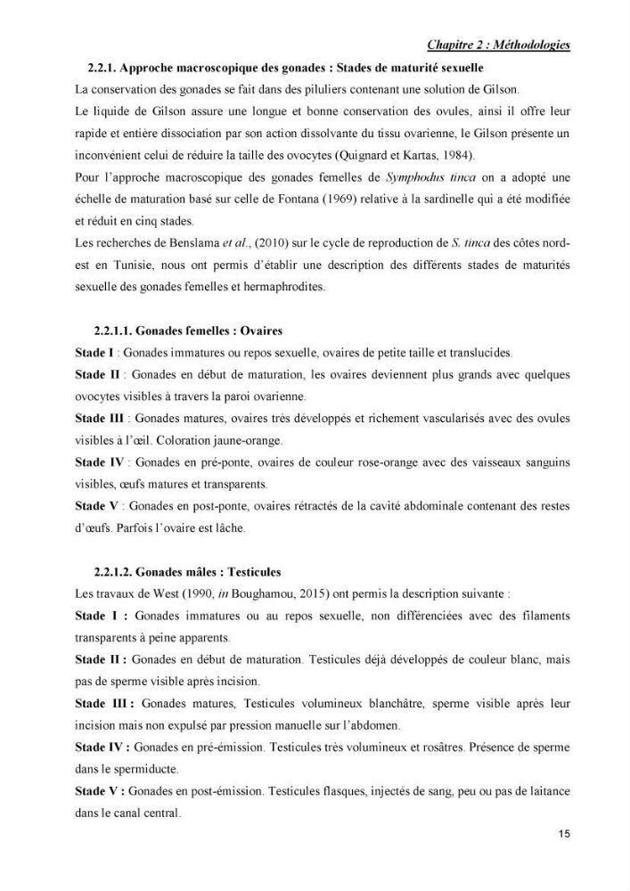 Contribution à l\'étude de la production et de la croissance de Symphodus tinca( Linnaeus, 1758).: dans la région centre Algérienne