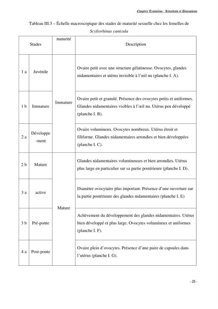Contribution à la biologie de Scyliorhinus canicula ( Elasmobranches, Scyliorhinidae) dans la région d\'Alger