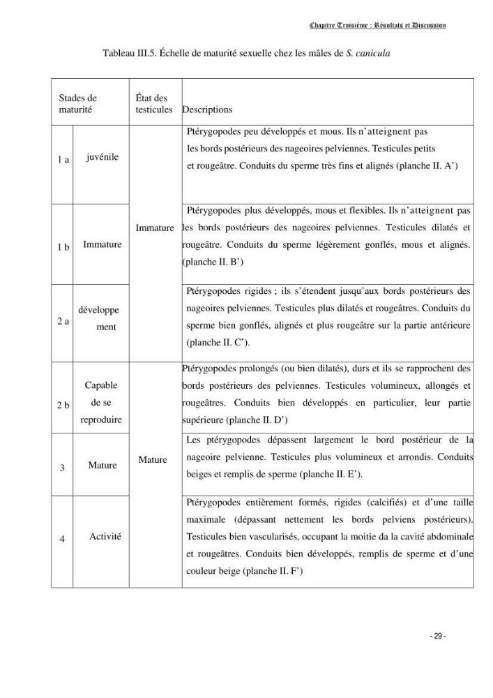 Contribution à la biologie de Scyliorhinus canicula ( Elasmobranches, Scyliorhinidae) dans la région d\'Alger