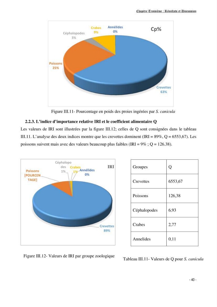 Contribution à la biologie de Scyliorhinus canicula ( Elasmobranches, Scyliorhinidae) dans la région d\'Alger