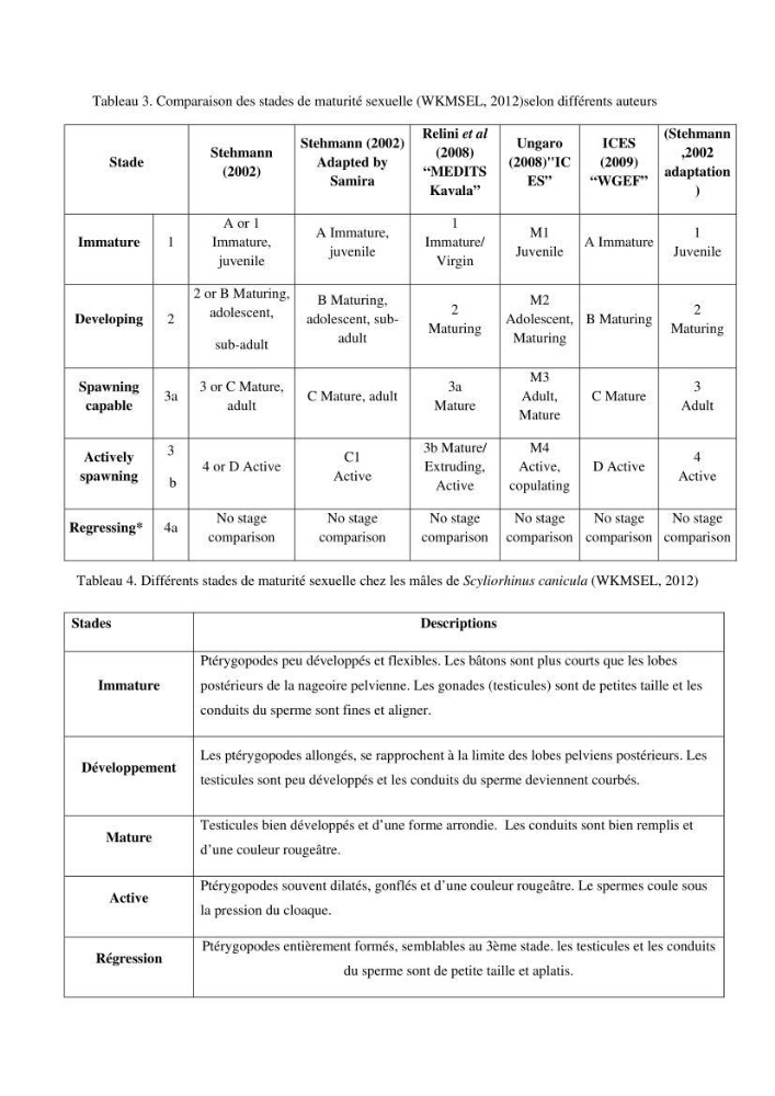 Contribution à la biologie de Scyliorhinus canicula ( Elasmobranches, Scyliorhinidae) dans la région d\'Alger