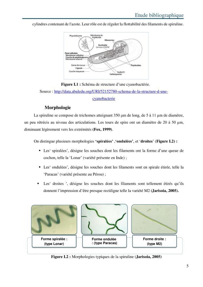 Production de la spiruline (Arthrospira platensis) avec divers milieux de culture