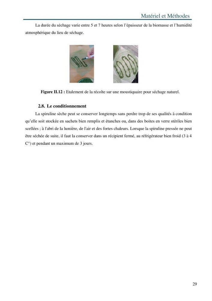 Production de la spiruline (Arthrospira platensis) avec divers milieux de culture