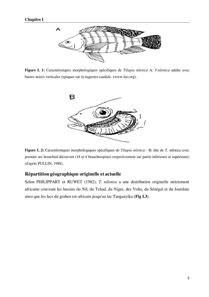 Effet de la densité d\'élevage sur les performances de production du tilapia Oreochromis sp dans un milieu contrôlé