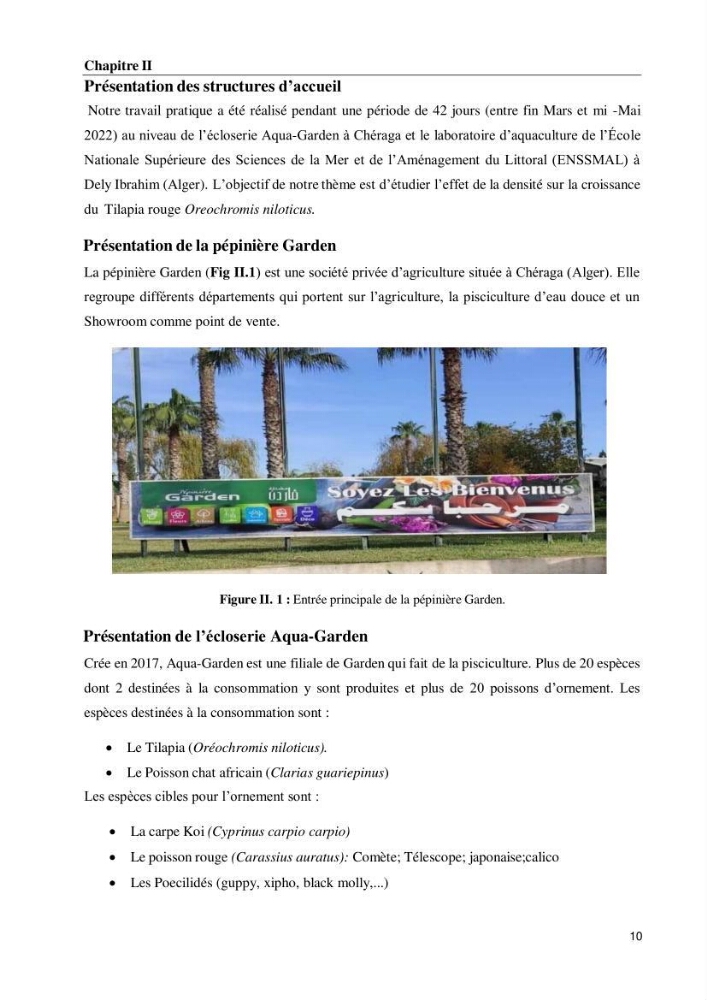 Effet de la densité d\'élevage sur les performances de production du tilapia Oreochromis sp dans un milieu contrôlé