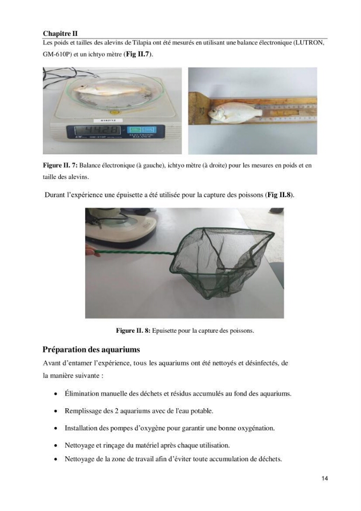 Effet de la densité d\'élevage sur les performances de production du tilapia Oreochromis sp dans un milieu contrôlé