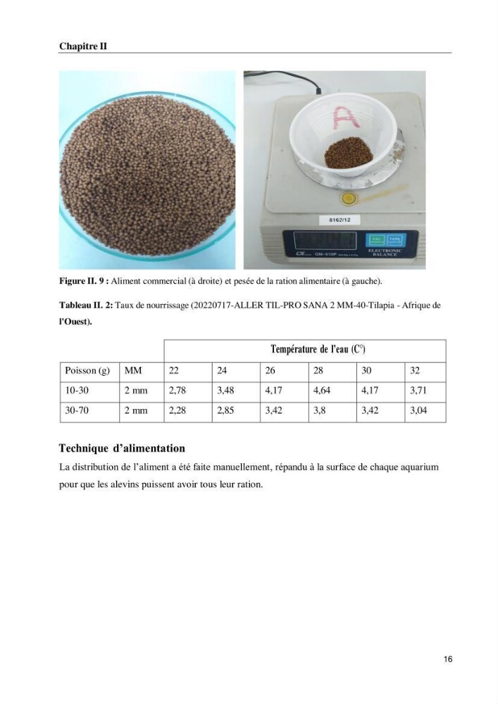 Effet de la densité d\'élevage sur les performances de production du tilapia Oreochromis sp dans un milieu contrôlé