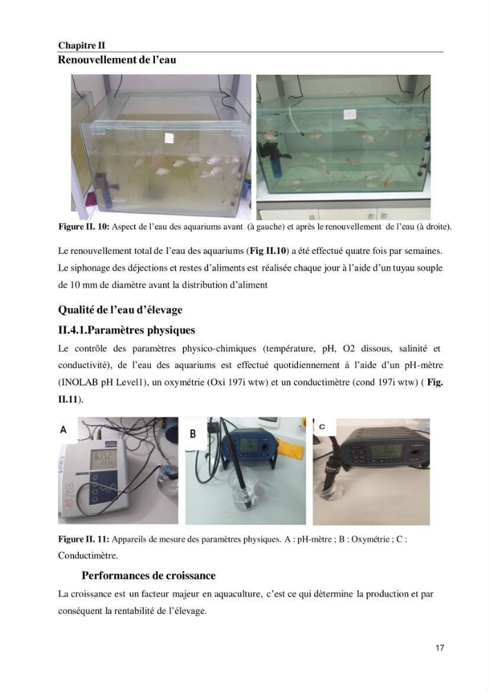 Effet de la densité d\'élevage sur les performances de production du tilapia Oreochromis sp dans un milieu contrôlé