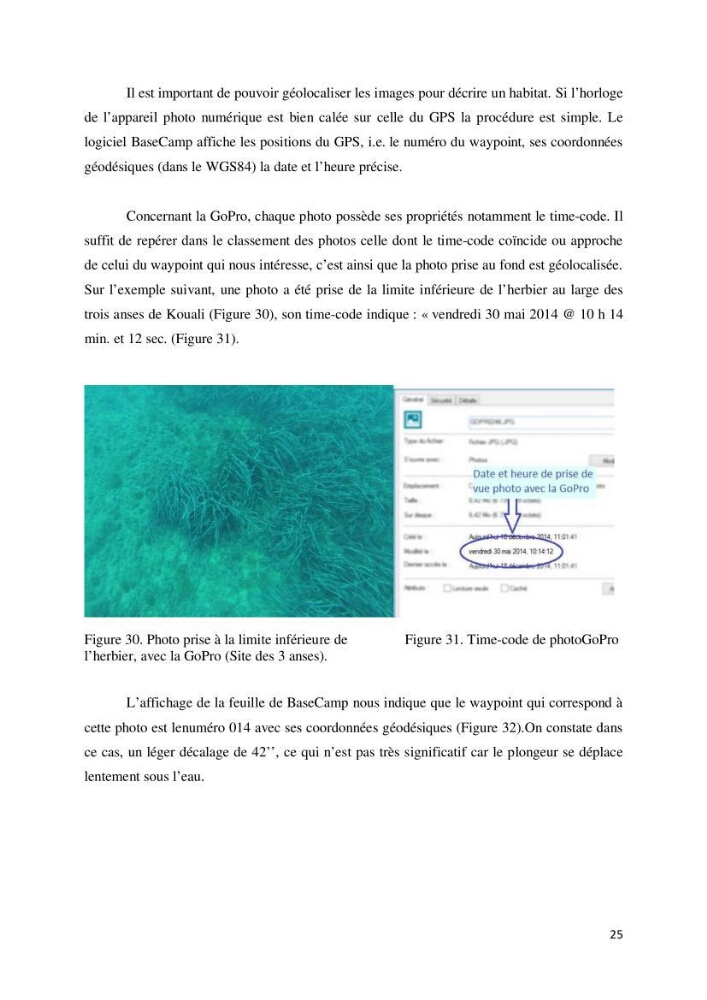 Contribution à la cartographie des habitas marins dans le cadre d\'une étude d\'impact
