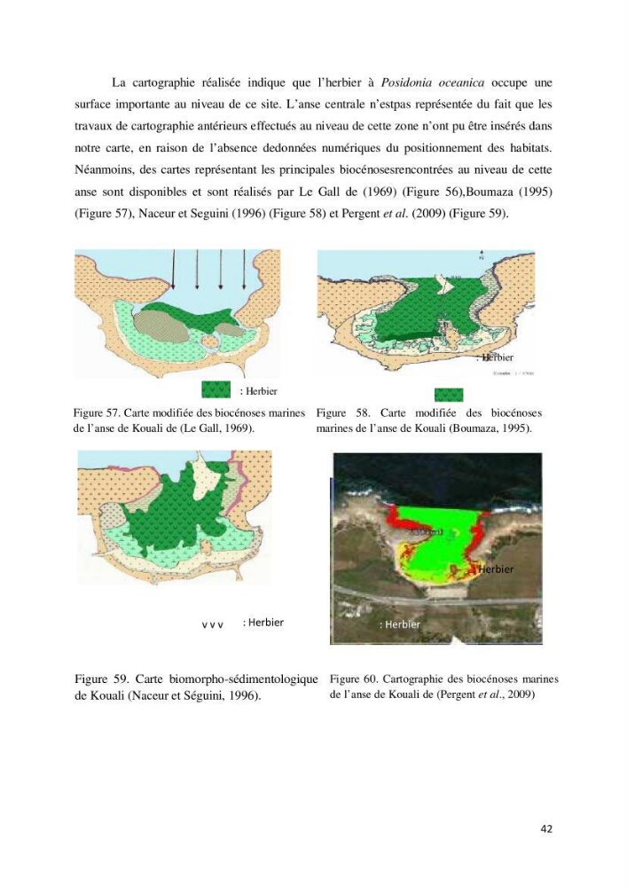 Contribution à la cartographie des habitas marins dans le cadre d\'une étude d\'impact