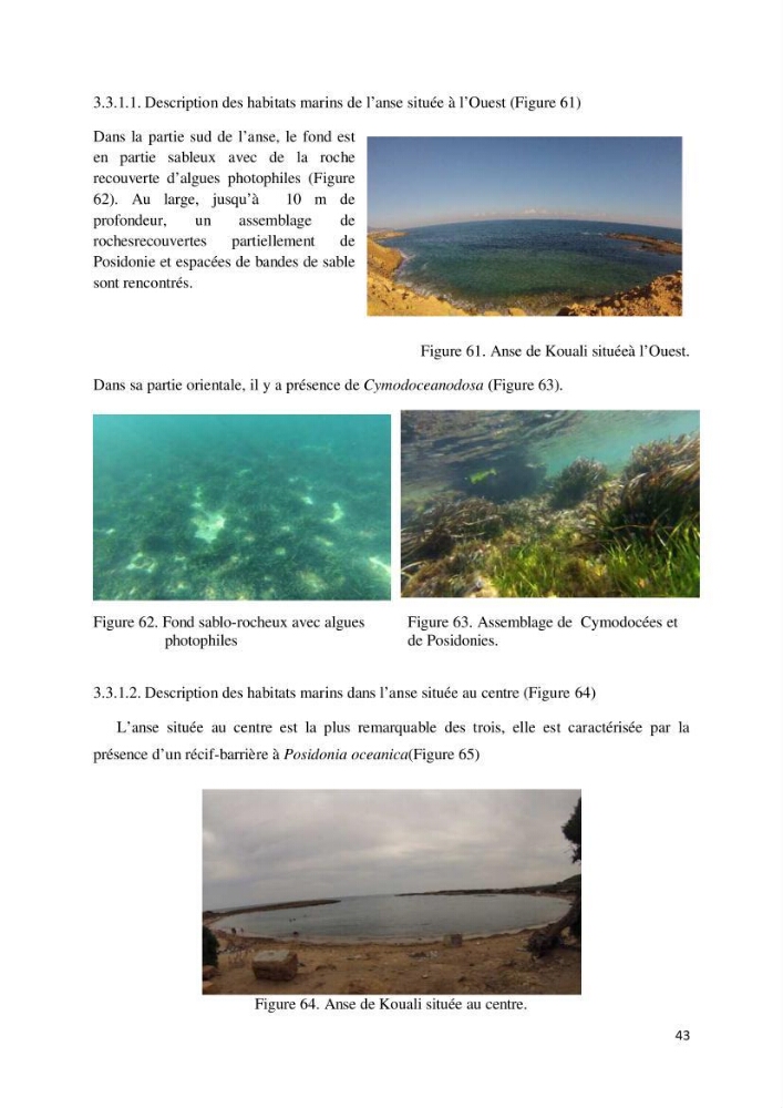 Contribution à la cartographie des habitas marins dans le cadre d\'une étude d\'impact