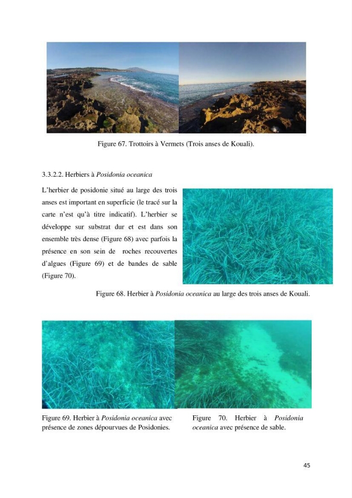 Contribution à la cartographie des habitas marins dans le cadre d\'une étude d\'impact