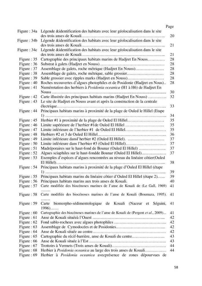 Contribution à la cartographie des habitas marins dans le cadre d\'une étude d\'impact