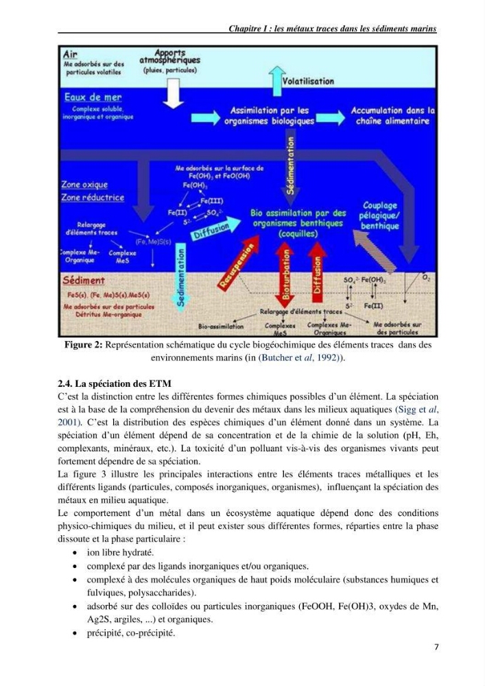 Les métaux traces dans les sédiments du littoral Algérois