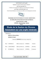 Etude de la fixation du chrome hexavalent sur une argile minérale: