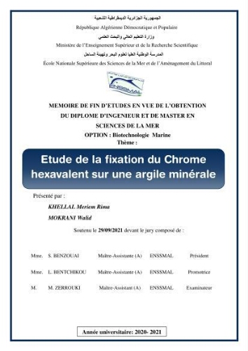Etude de la fixation du chrome hexavalent sur une argile minérale: Etude de la fixation du chrome hexavalent sur une argile minérale:
