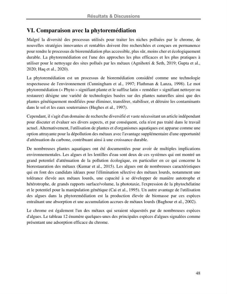 Etude de la fixation du chrome hexavalent sur une argile minérale: