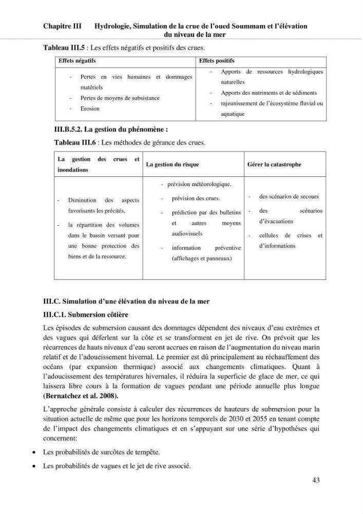 Hydrologie, modélisation hydro-sédimentaire et conception des ouvrages de protection : cas de la baie de Béjaia