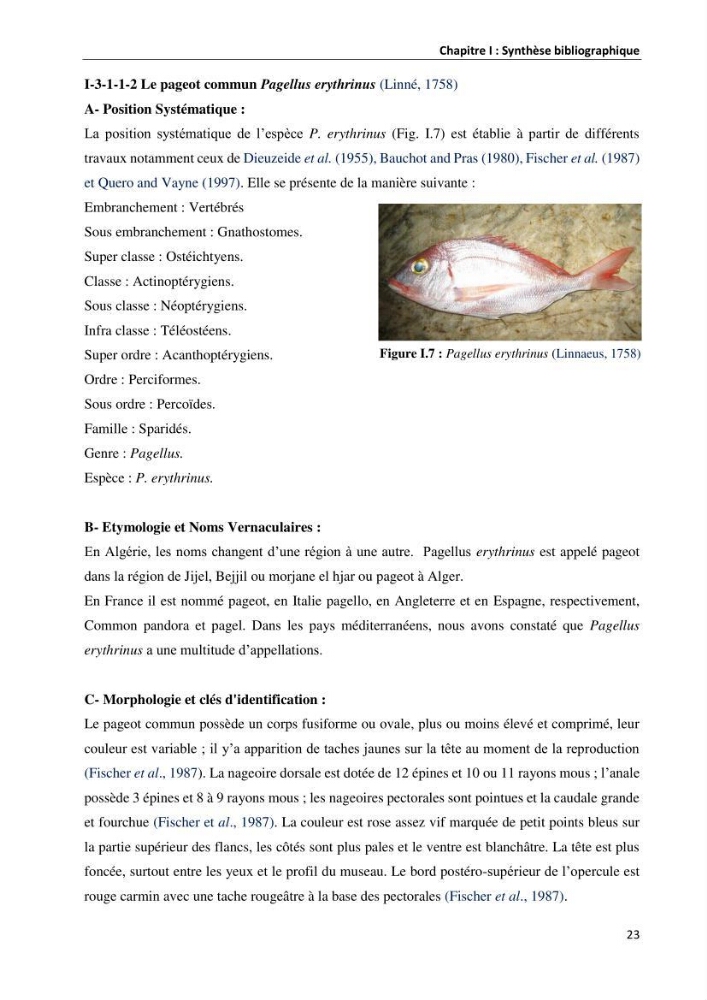 les métaux traces dans les sédiment marins et les espèces démersales de la côte algérienne contribution à l\'évaluation du risque écologique