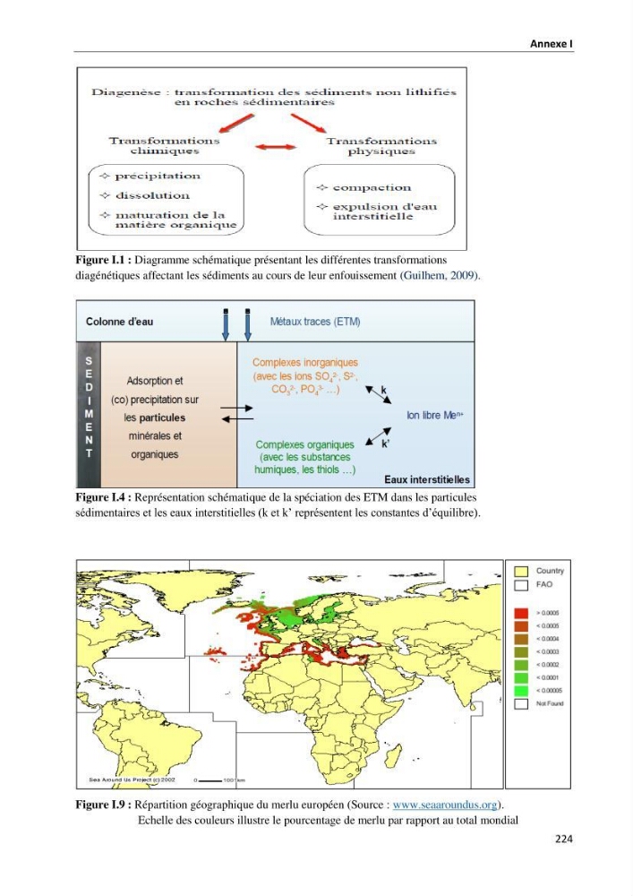 les métaux traces dans les sédiment marins et les espèces démersales de la côte algérienne contribution à l\'évaluation du risque écologique