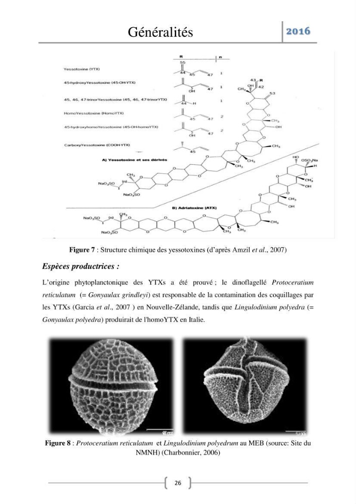Recherche des toxines diarrhéiques et paralysantes dans la mule Myytilus galloprovincialis du marché: