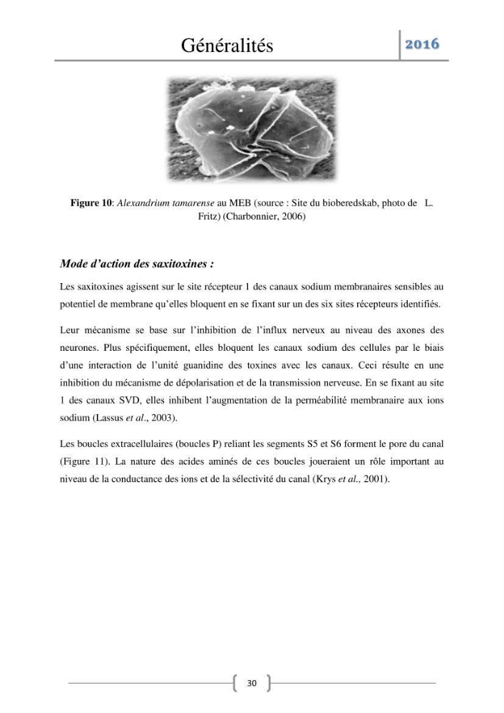 Recherche des toxines diarrhéiques et paralysantes dans la mule Myytilus galloprovincialis du marché: