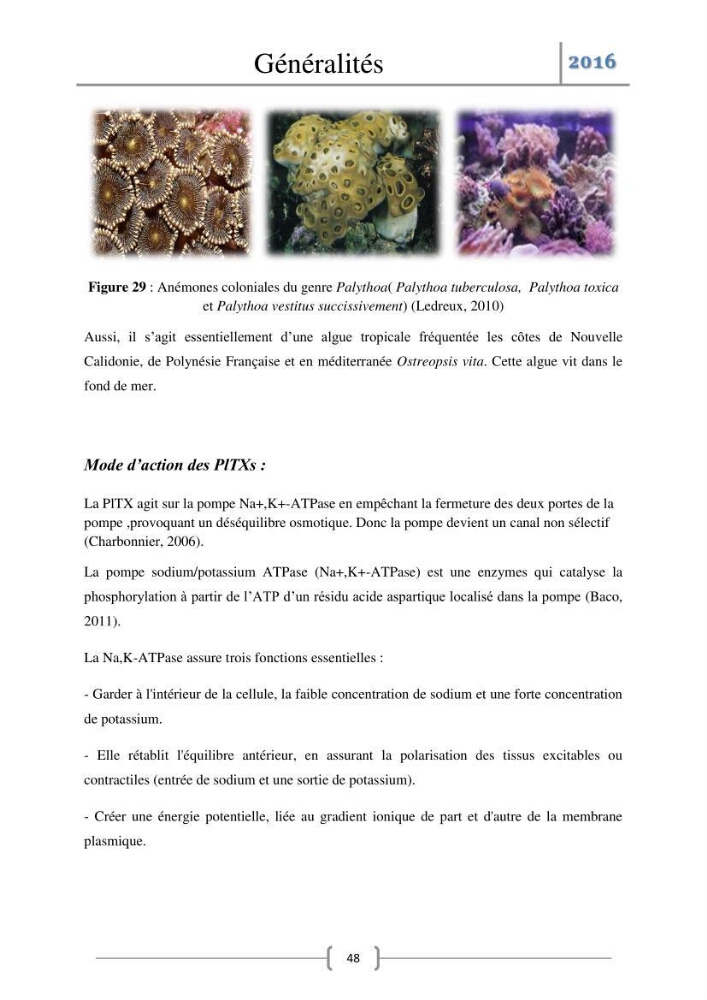 Recherche des toxines diarrhéiques et paralysantes dans la mule Myytilus galloprovincialis du marché: