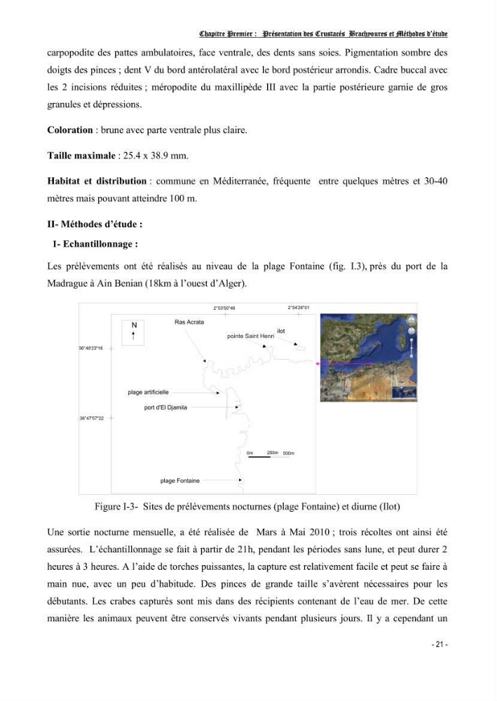 Contribution à l\'étude des crustacés brachyoures dans la région d\'Alger