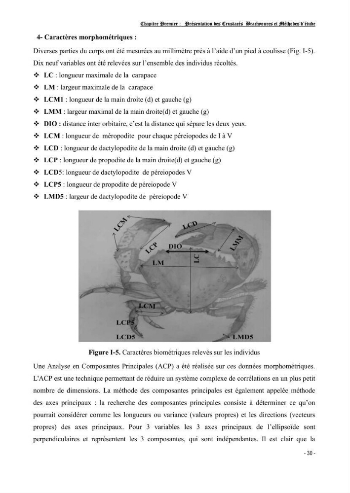 Contribution à l\'étude des crustacés brachyoures dans la région d\'Alger