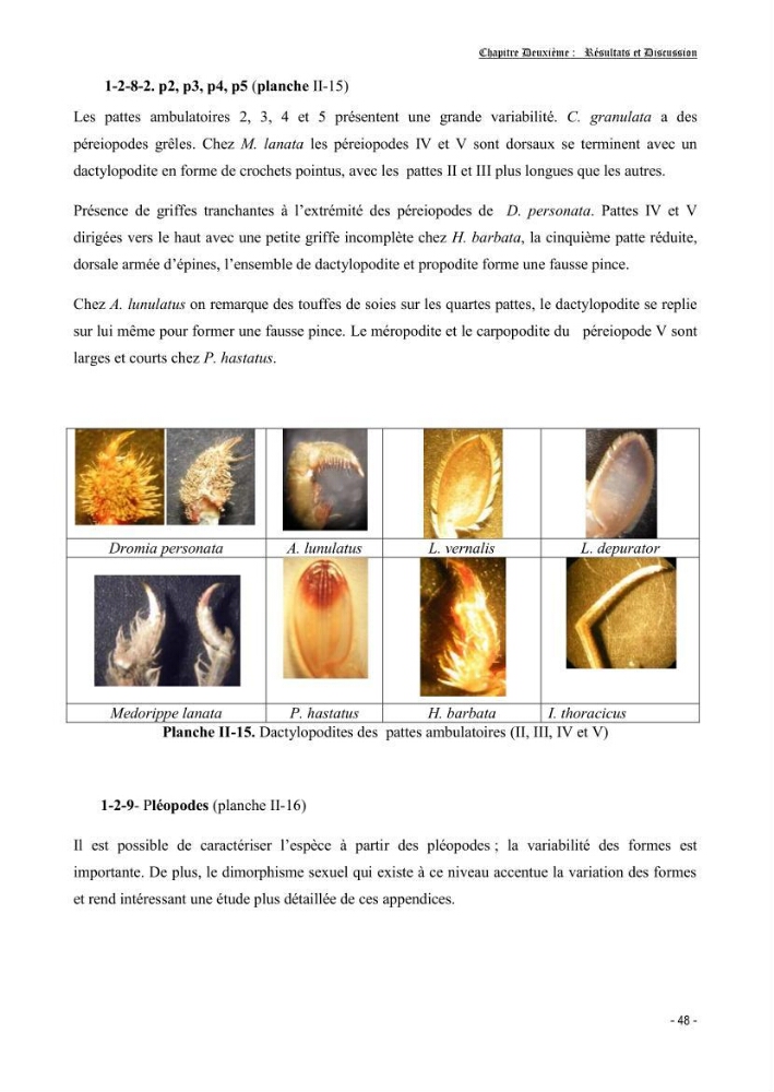 Contribution à l\'étude des crustacés brachyoures dans la région d\'Alger