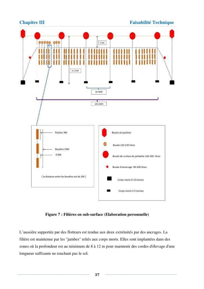Etude de faisabilité technico-économique d’une ferme conchylicole (Mytilus galloprovincialis (Lamarck, 1819)