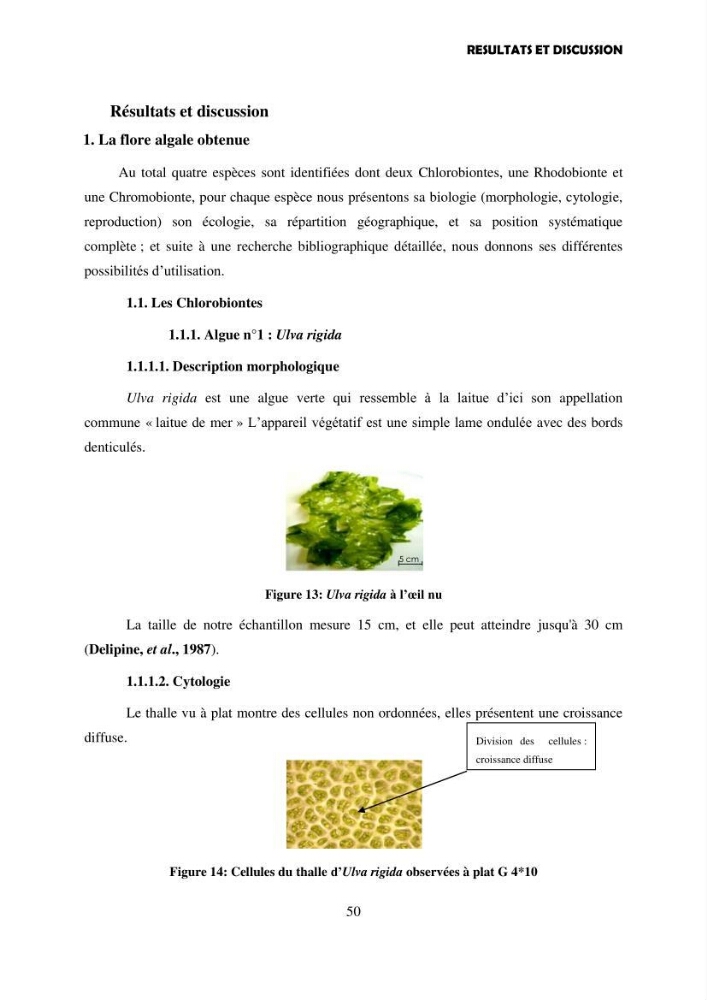 Composition biochimique de quelques espèces d\'algues marines aux possibilités alimentaires: