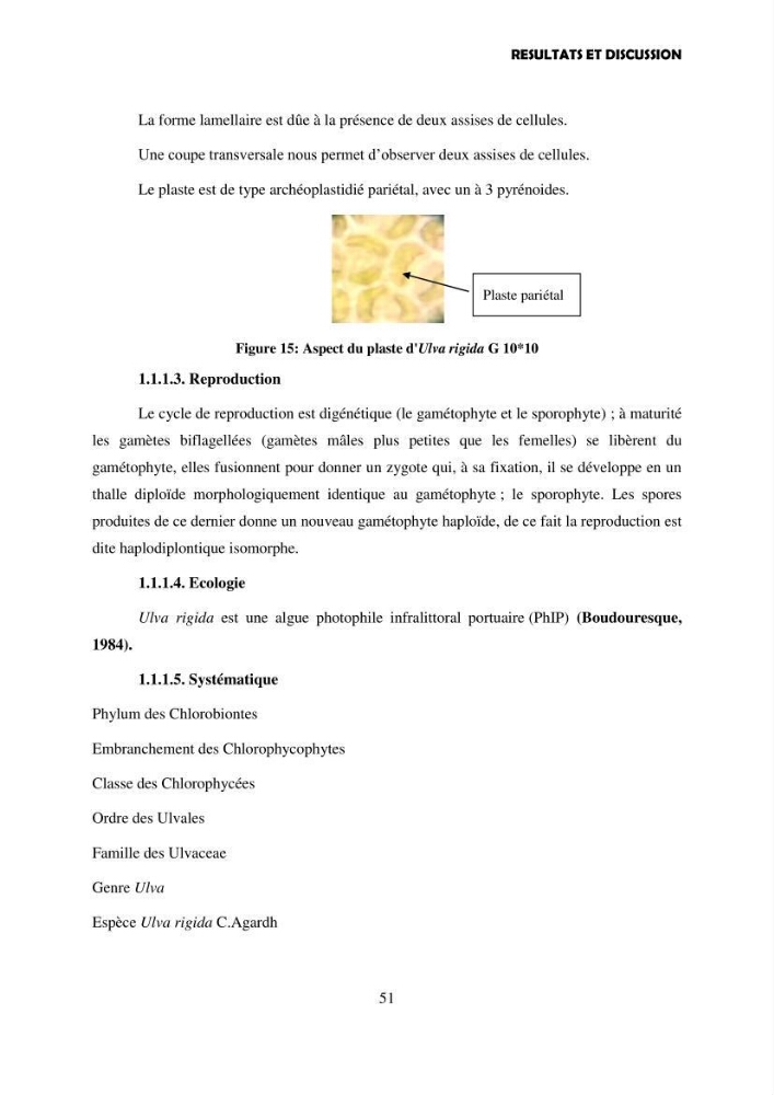 Composition biochimique de quelques espèces d\'algues marines aux possibilités alimentaires: