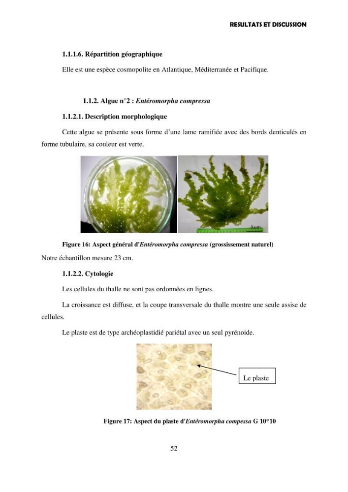 Composition biochimique de quelques espèces d\'algues marines aux possibilités alimentaires: